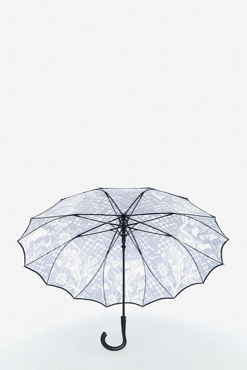 Зонт фотография